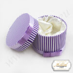 small-box-purple-stripe-d7