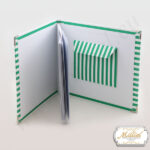 album-zeleno-raie